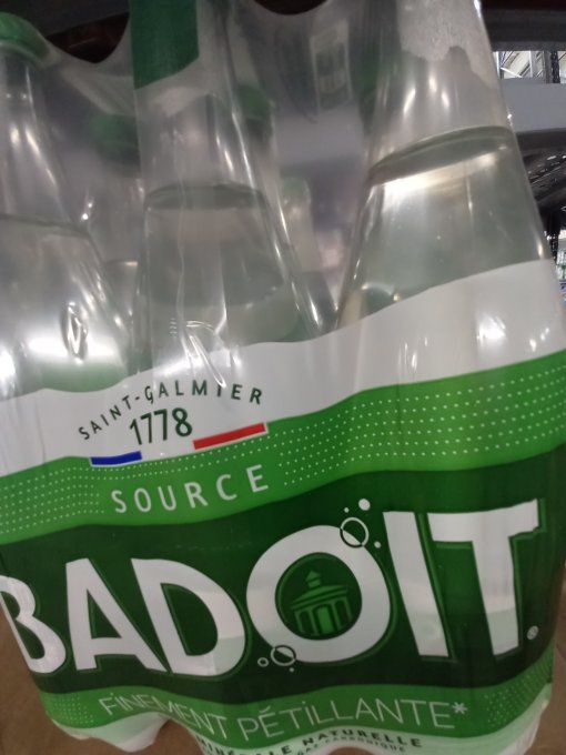 BADOIS VERT 1 L × 6