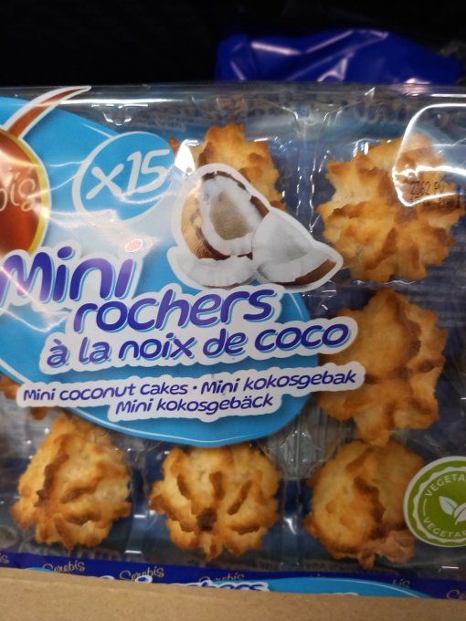 15 MINI ROCHERS BARQUETTE  250 G