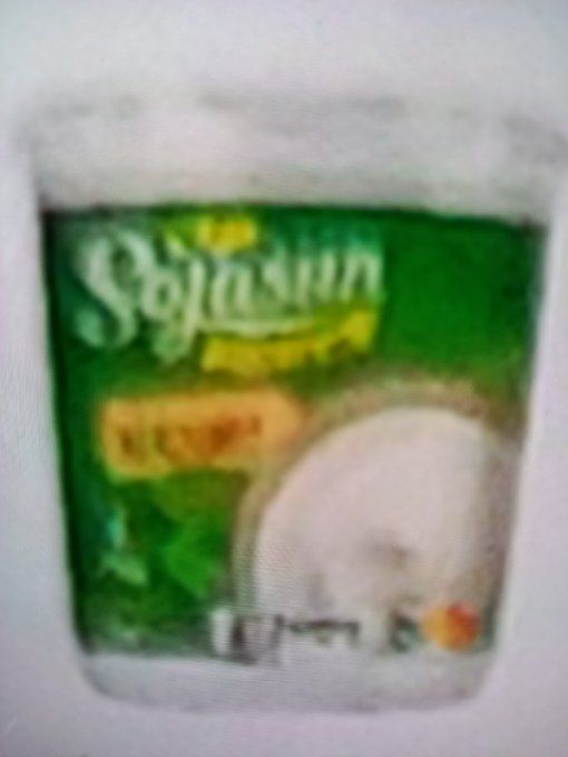 SOJASUN YAOURT 1 KG