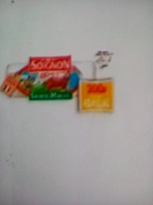 SOIGNON FROMAGE DE CHÈVRE  300 G SAINTE MAURE