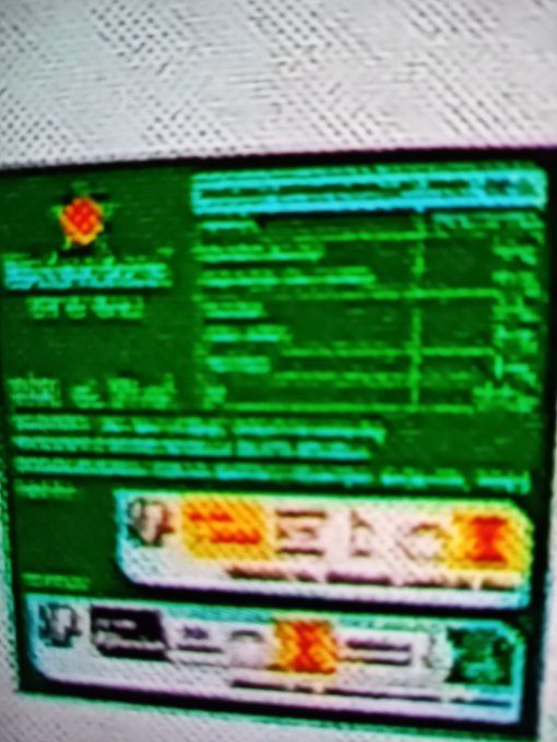 HEINEKEN BIÈRE BLONDE 5° VERRE  PERDU 20× 25 CL