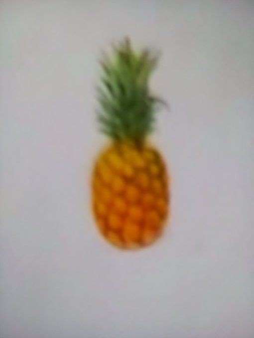 MC ANANAS  MÛRE A POINT CAL 8 CAT 1