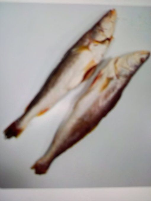 Poisson Bar Kandratiki 450-950