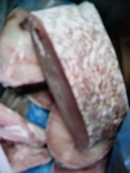 Darne de Tiof Mérou   5  kg