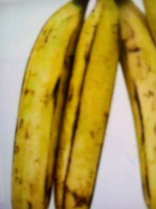 Plantain Mûr du Cameroun 