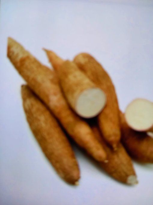 Manioc frais  Costa,-Rita