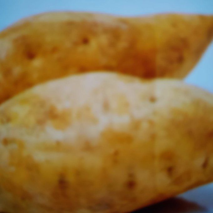 Patate douce Blanche du CAMEROUN 