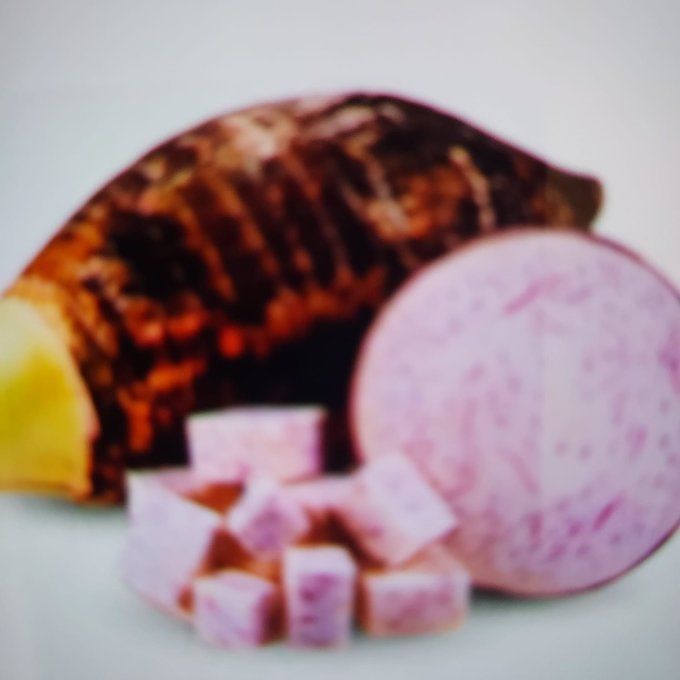 Dachine , Taro Antilles